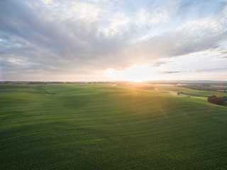  aerial view of a beautiful sunset over green  corn fields - agricultural fields