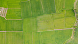 Fototapeta Sawanna - Background of Fields with various types of agriculture in rural Thailand