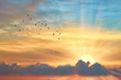 canvas print picture - Cloud the evening sky at sunset