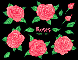 Wall Mural - Red Roses with green leaves isolated. Set of vector isolated illustrations. Romantic wedding elements.