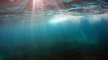 Natural Underwater Background 