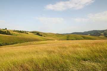 tourism in zlatibor