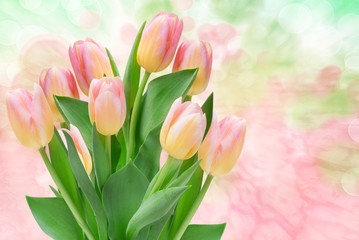 Wall Mural - tulip flowers