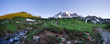 Mt. Rainier panorama at sunrise. Waterfall, paths and wildflowers in the foreground. Location: Mt. Rainier National Park in Washington state