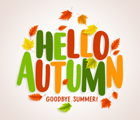 Wall Mural - hello autumn vector banner design with colorful maple leaves elements and text greetings for fall se