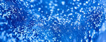 Abstract Blue Bokeh Texture Background. Drop On Spider Web