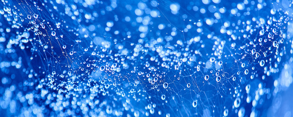 abstract blue bokeh texture background. drop on spider web