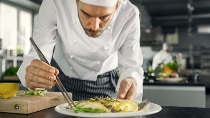 Famous Chef Decorates His Special Fish Dish with Some Greens. He Works in a Modern Kitchen.