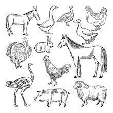 Farm Animals Set In Hand Drawn Style. Vector Illustrations