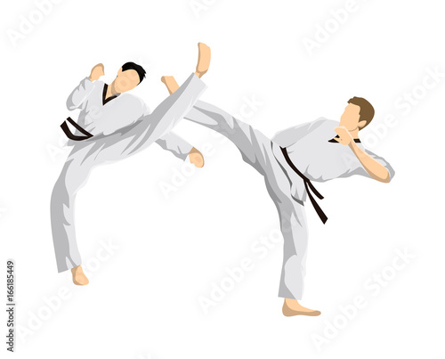 Принти на полотні Taekwondo sport athletes.