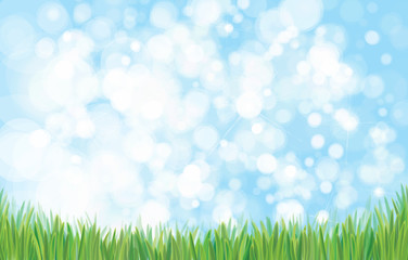 Wall Mural - vector green grass border and sky background.