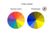 vector illustration, infographics, color wheel, palette, normal vision, protanopia, daltonism, color blindness