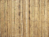 bamboo fence background