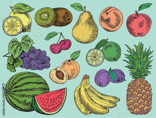 Fruits Menu Summer Garden Lemon Apple Grape Watermelon Pear