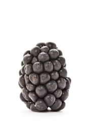 Poster - ripe blackberry