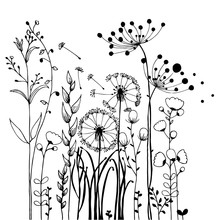 Flowers And Grass On White Collection. Rustic Colorful Meadow Growth Illustration Set.