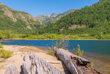 Wall Mural - beautiful blue lake. fallen logs in a lake in the mountains. birth of a lake trail. mount st helens 