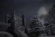 Old castle in a full moon night