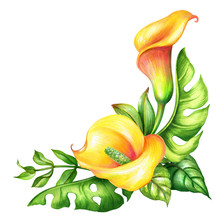 Watercolor Botanical Illustration, Wild Yellow Tropical Flowers, Jungle Green Leaves, Calla Lily Floral Corner Decor, Isolated On White Background