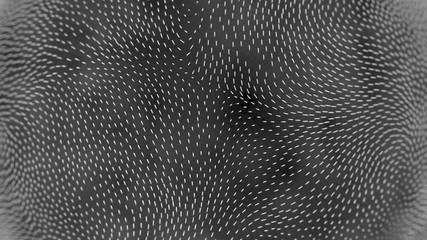 Flow network