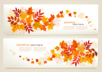 Aufkleber - Two abstract autumn banners with colorful leaves Vector