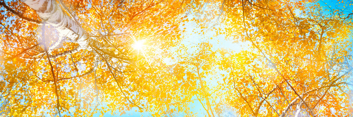 Wall Mural - autumn forest