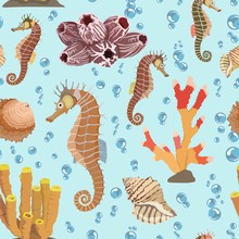 Seamless Pattern With Seahorse Shells, Corals. Vector Illustration.