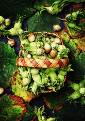 Wall Mural - Fresh hazelnuts in wicker basket, top view