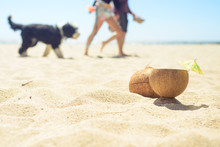 Coconut With Drink On The Beach With Man, Woman And Dog On Background