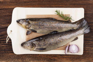 Poster - Fresh raw trout fish.