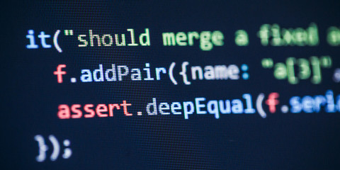 Wall Mural - software developer programming code