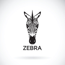 Vector Of An Zebra Face On White Background. Wild Animals.