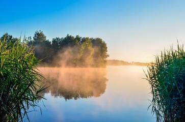 Summer morning landscape. Islet with trees on the lake.