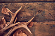 © exclusive-design - Rustic deer antlers and fallen brown leaves
