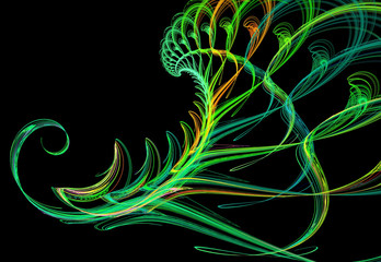 abstract fractal spiral pattern