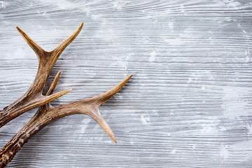 Wall Mural - deer antlers against wooden background