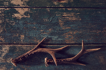 Wall Mural - shed antlers for a buck or deer on vintage wood