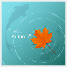 Hello Autumn Background With Maple Leaf Floating On The Water , Vector , Illustration