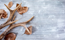 Deer Antlers With Leaves On Wooden Background