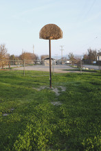 Basketball Hoop And Stand Surrounded By Weeds