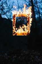 Frame Of Flames In A Dark Forest
