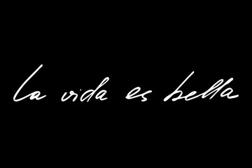 Life is beautiful in Spanish. Handwritten white text isolated on black background, vector. Each word is on the separate layer