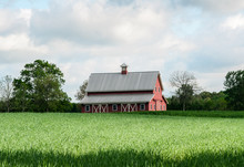 Red Barn In A Field Of Grass