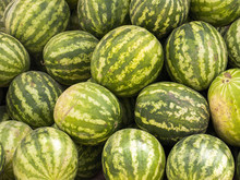 Water Melons