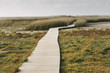 © Raymond Forbes LLC/Stocksy - Boardwalk to Beach Cape Cod Massachusetts