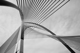 Fototapeta  - Modern Bridge Architecture 