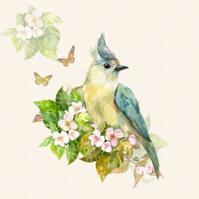 Vintage Invitation Card With A Cute Bird On Apple Blossom And Butterflies. Watercolor Painting