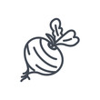 Food vegetables line icon beetroot