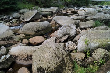 rocks in the river