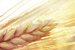 Dew drops on a gold ripe wheat ear close-up macro in sunlight  . Wheat ear in droplets of dew in nature on a soft blurry golden background.